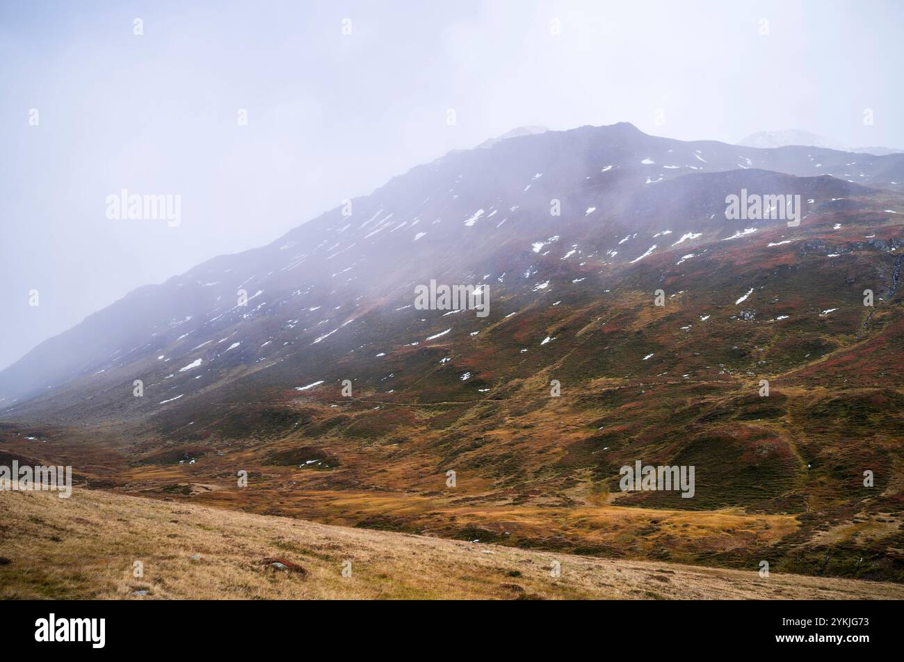 Autumnal red-coloured alpine bearberry (Arctostaphylos alpinus) as seen from Bernina Express in Switzerland Stock Photo