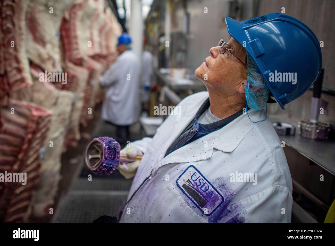 Meat Inspection Line Usda plant inspection station hi-res stock photography and images - Alamy