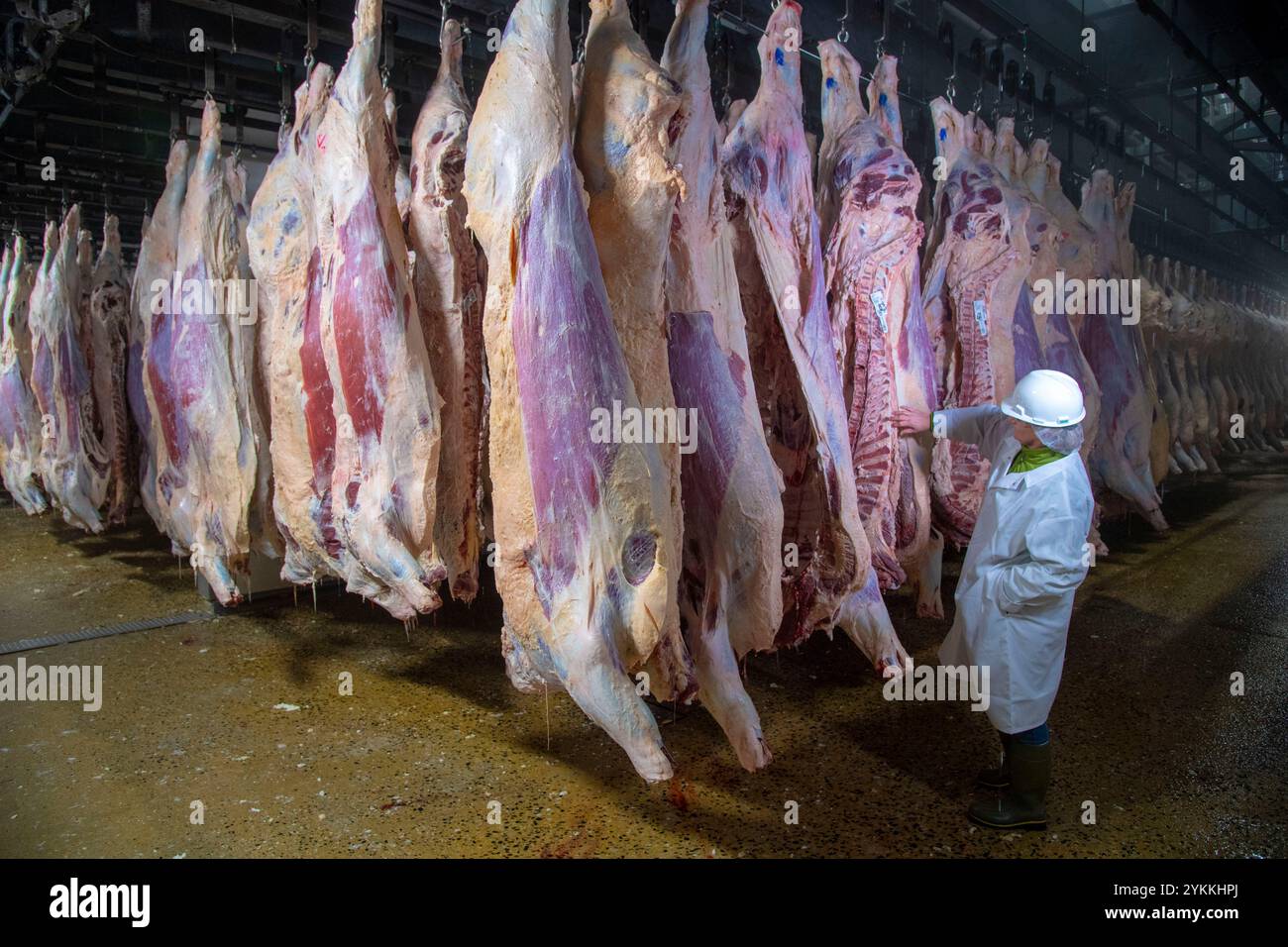 Quality audit department hi-res stock photography and images - Alamy