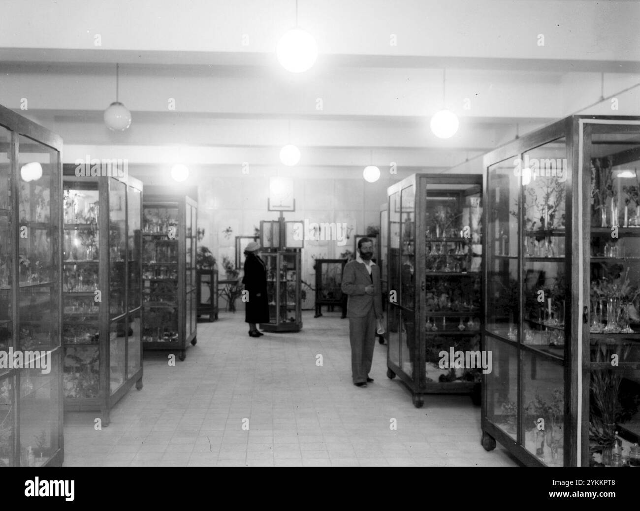 BOTANICAL MUSEUM AT THE HEBREW UNIVERSITY Wwwm1878 Stock Photo - Alamy