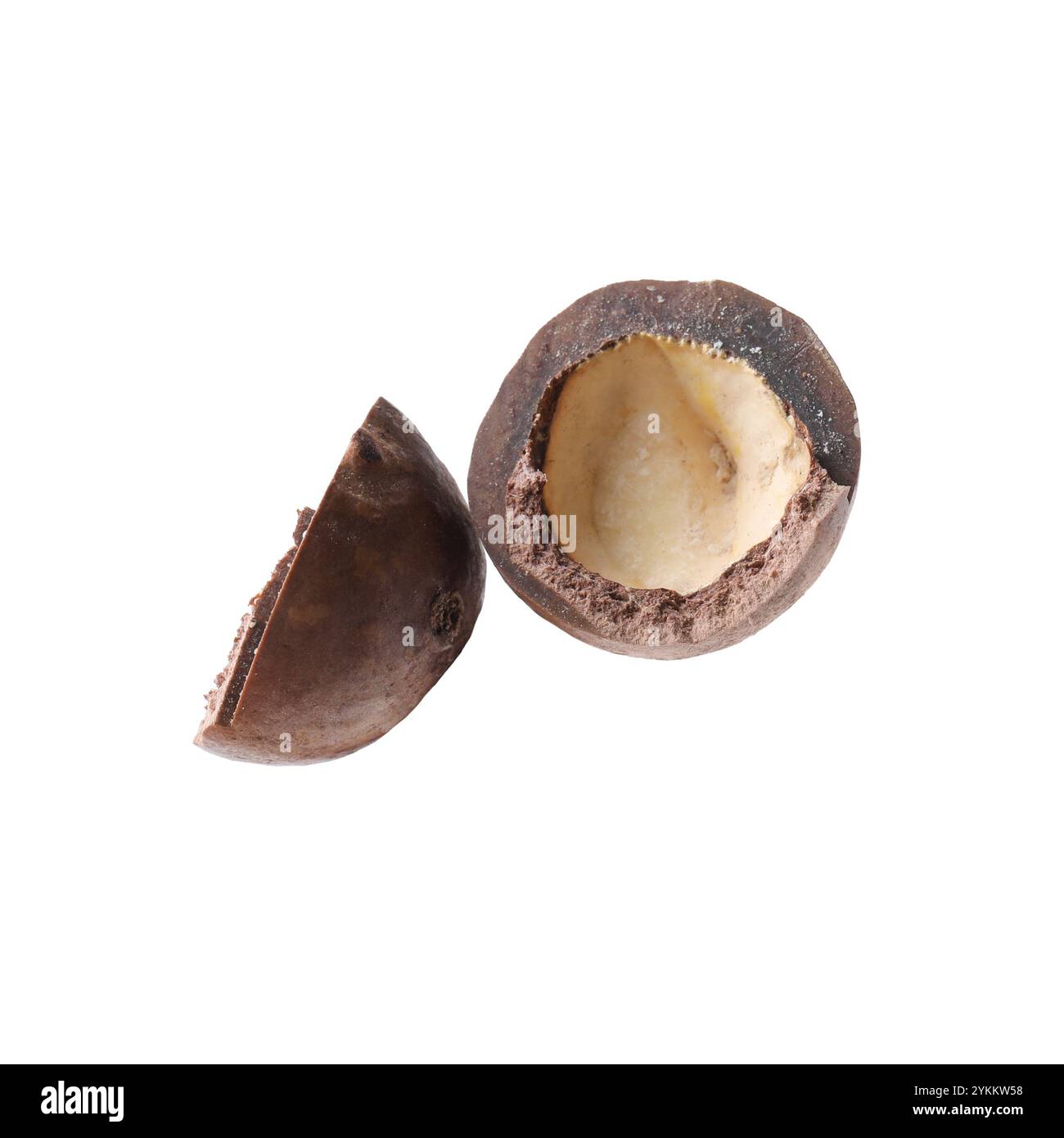 Part of macadamia nut shell isolated on white Stock Photo - Alamy