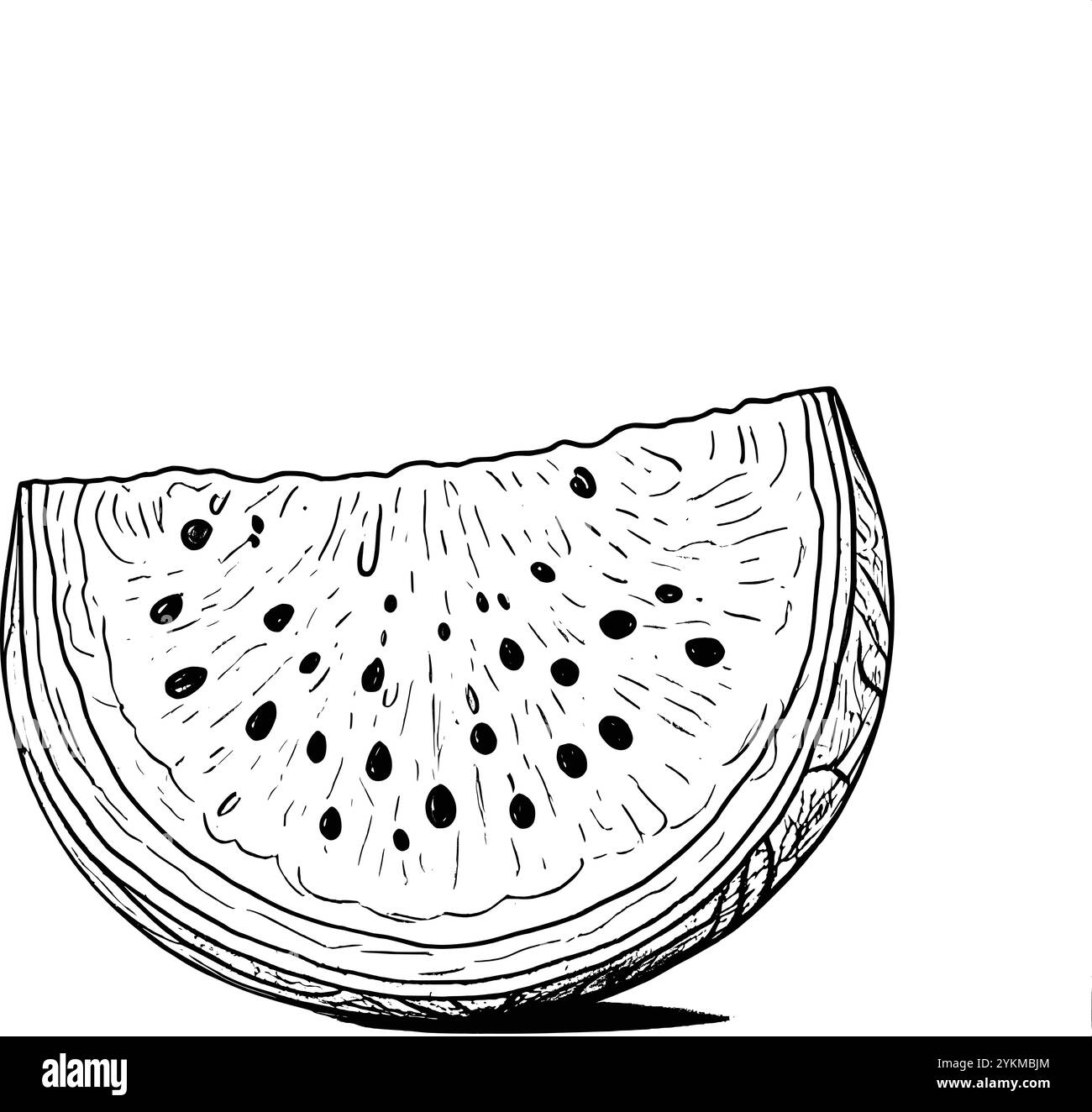 Watermelon simple line illustration Stock Vector Image & Art - Alamy