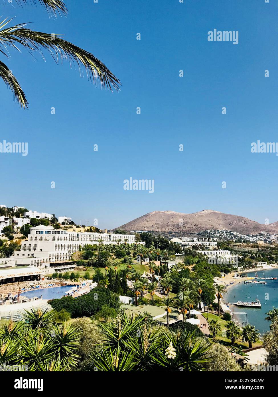 a-luxurious-seaside-resort-featuring-palm-trees-a-picturesque