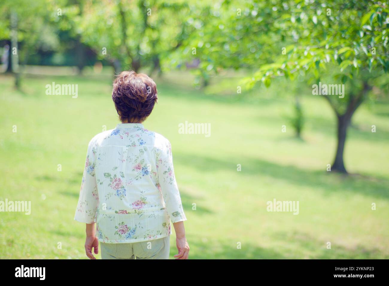 Senior woman walking in park, back view Stock Photo - Alamy