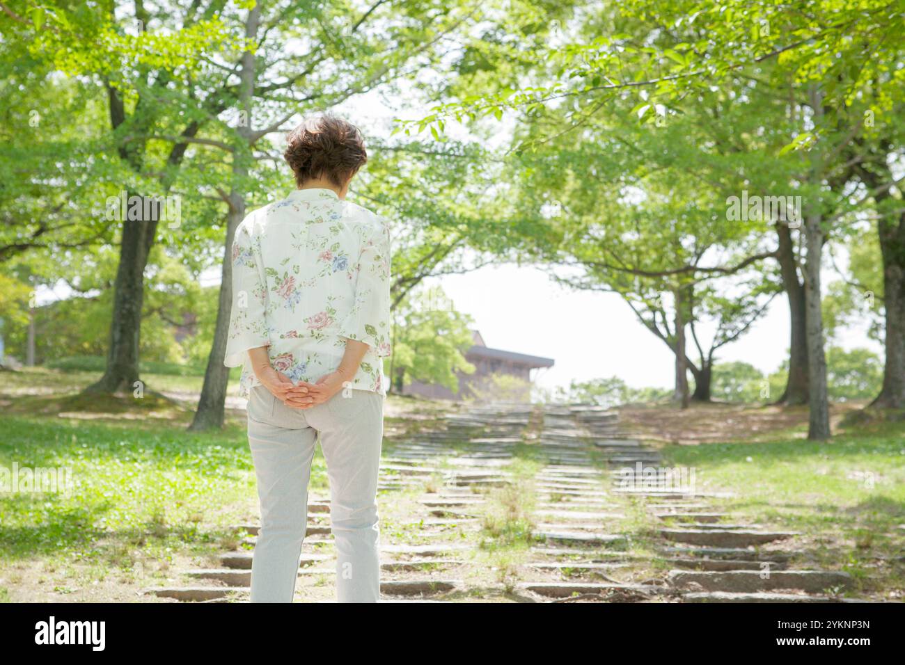 Senior woman walking in park, back view Stock Photo - Alamy