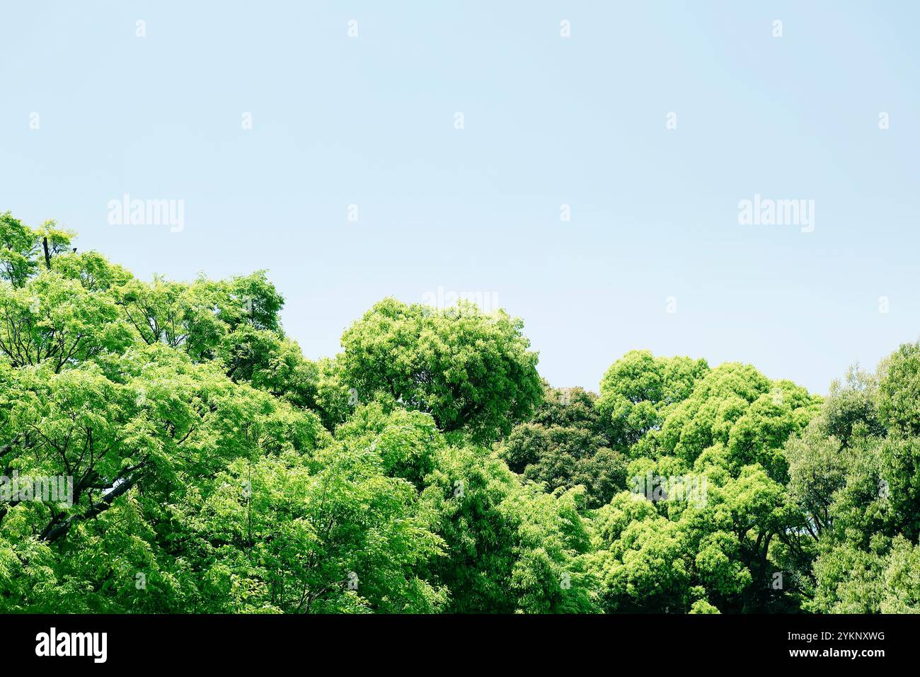 Refreshing contrast hi-res stock photography and images - Alamy