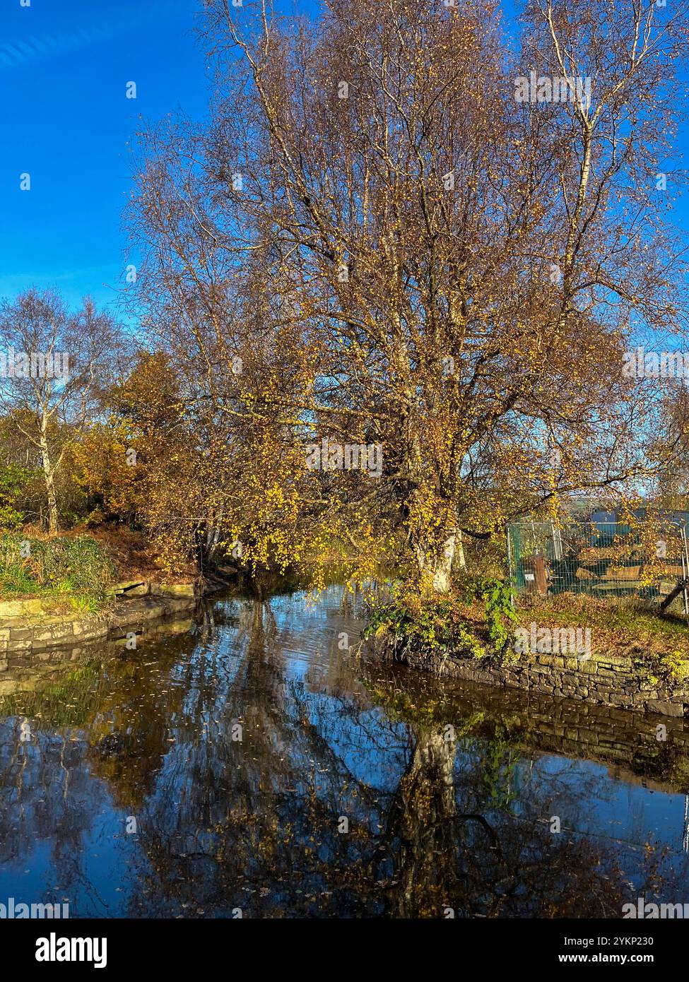 Autumn scene on canal in Marple Stockport - Smartphone Captured Stock Image