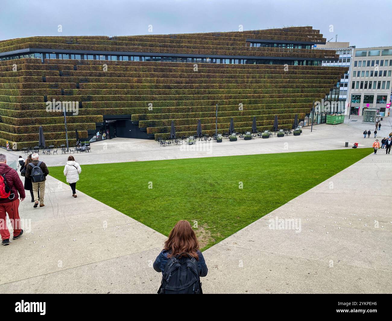 Ein mit Hainbuchen bepflanztes Haus mitten in der City von Düsseldorf. Stock Photo