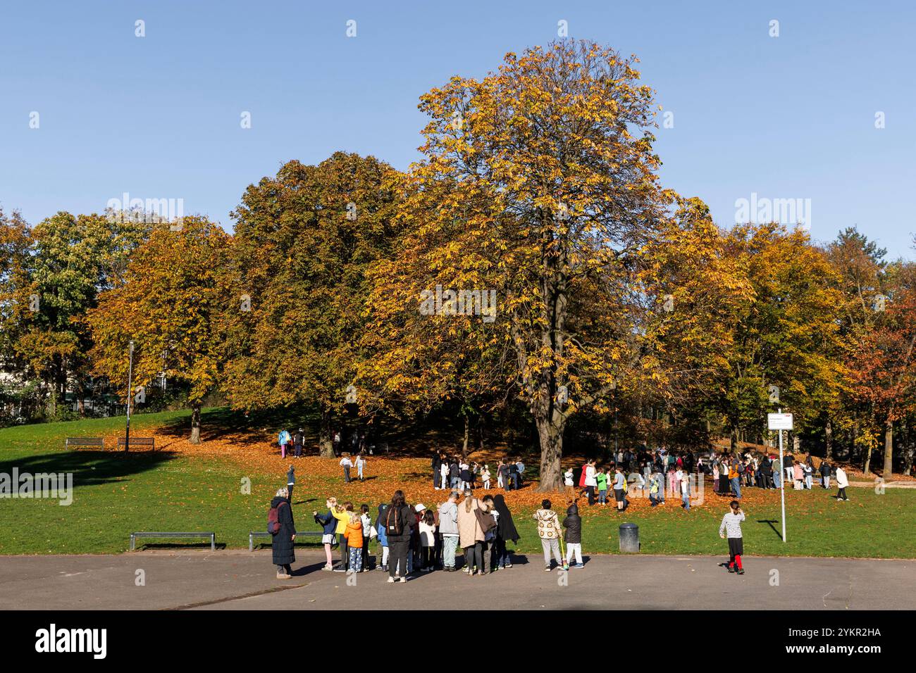 trees and people in Klingelpuetz park, Cologne, Germany. Baeume und Menschen im Klingelpuetzpark, Koeln, Deutschland. Stock Photo