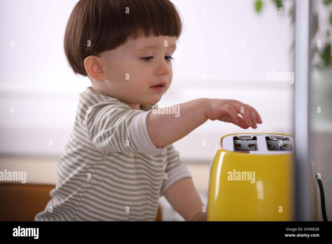 Little boy playing with toaster in kitchen. Dangerous situation Stock ...