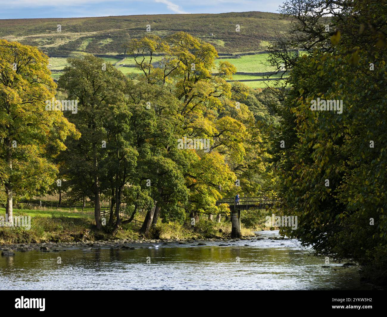 Bridge over River Wharfe (beautiful location, autumn colours, rolling hills, walking route for visitors) - Bolton Abbey Estate, Yorkshire Dales, UK. Stock Photo