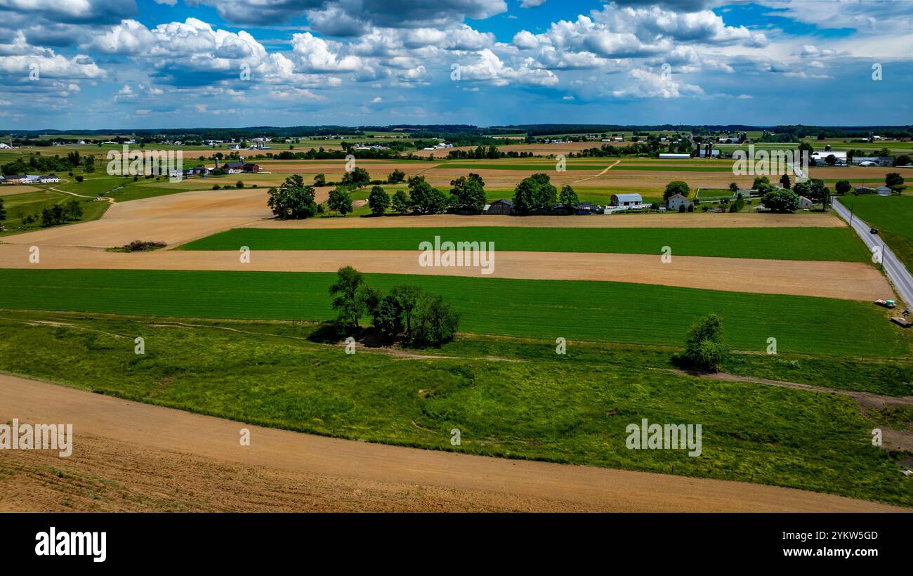 Aerial view captures expansive farmland under a bright sky. Lush green ...