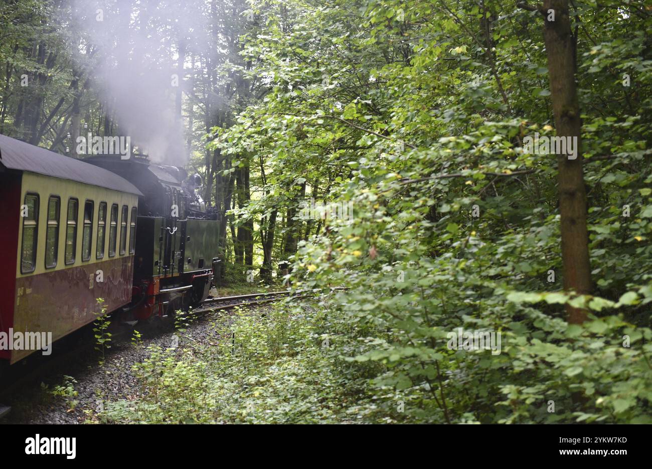 Selketalbahn, Harzer Schmalspurbahn, Brockenbahn runs through the Harz Mountains, Saxony-Anhalt, Germany, Europe Stock Photo
