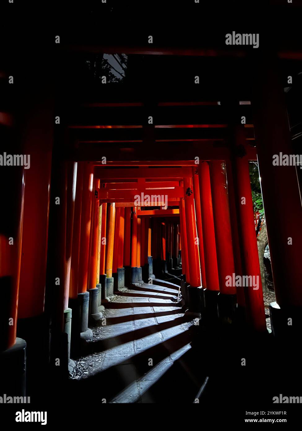 Fushimi Inari Shrine Kyoto - Smartphone Captured Stock Image