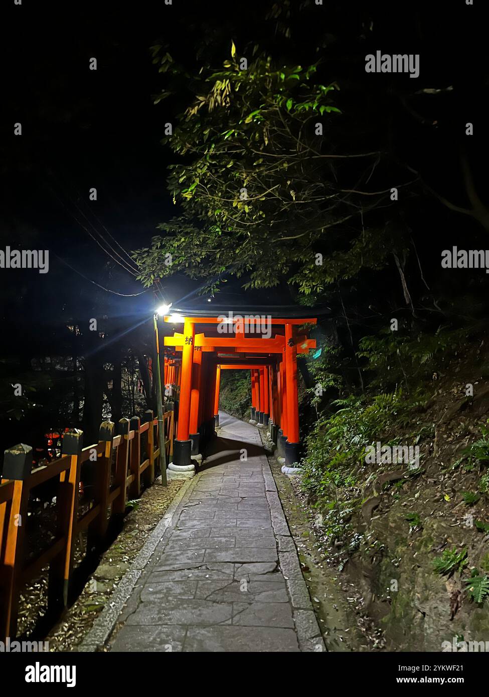 Fushimi Inari Shrine Kyoto - Smartphone Captured Stock Image
