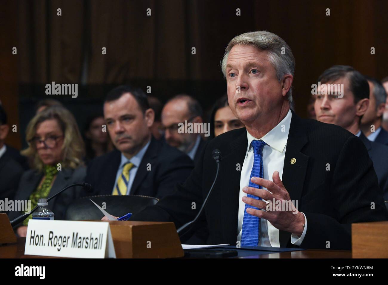 Breaking the visa mastercard duopoly hi-res stock photography and ...