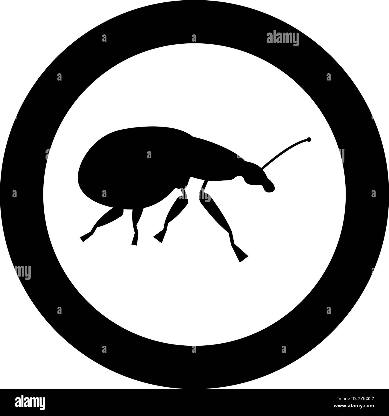 Weevil insect pest icon in circle round black color vector illustration image solid outline style simple Stock Vector