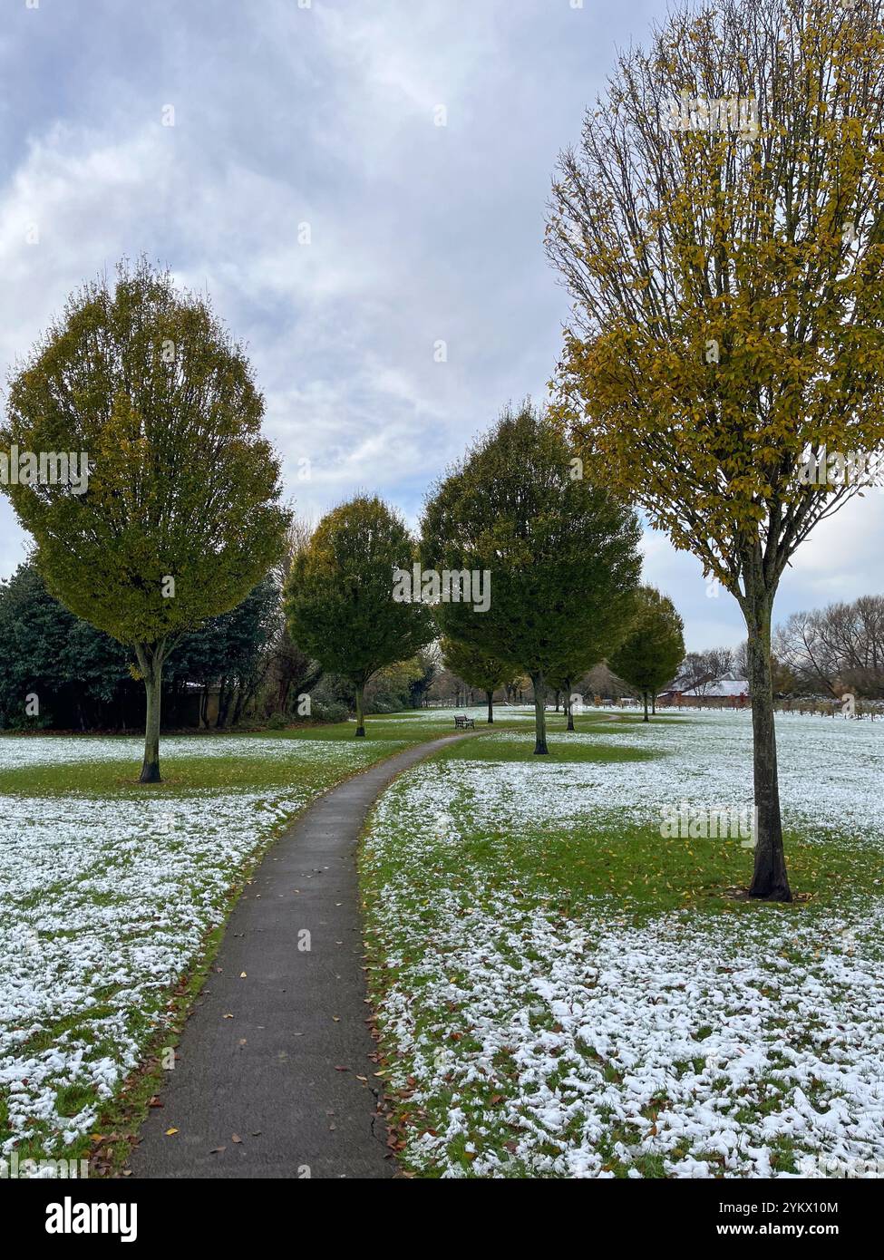 Autumn scene in Maghull Park Sefton Merseyside - Smartphone Captured Stock Image