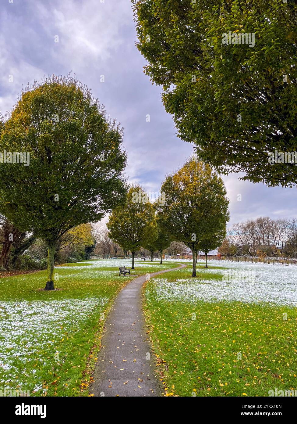Autumn scene in Maghull Park Sefton Merseyside - Smartphone Captured Stock Image