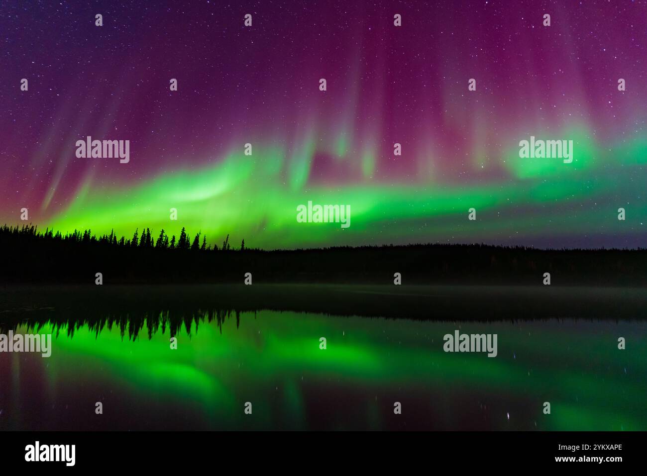 Colorful Aurora Borealis, Northern Lights, at Yellowknife, Northwest ...