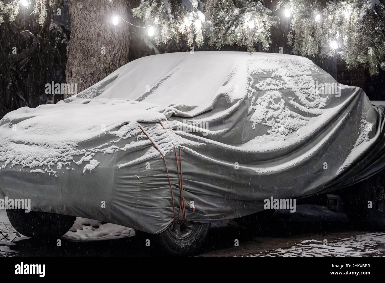 Car covered with snow and a tarp under a tree decorated with glowing lights at night, in a suburban driveway on a cold winter night Stock Photo