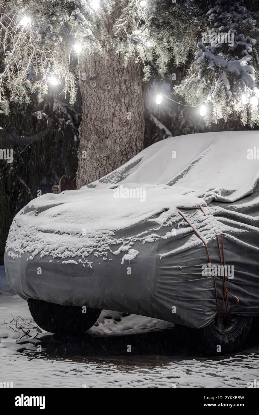 Car covered with snow and a tarp under a tree decorated with glowing lights at night, in a suburban driveway on a cold winter night Stock Photo