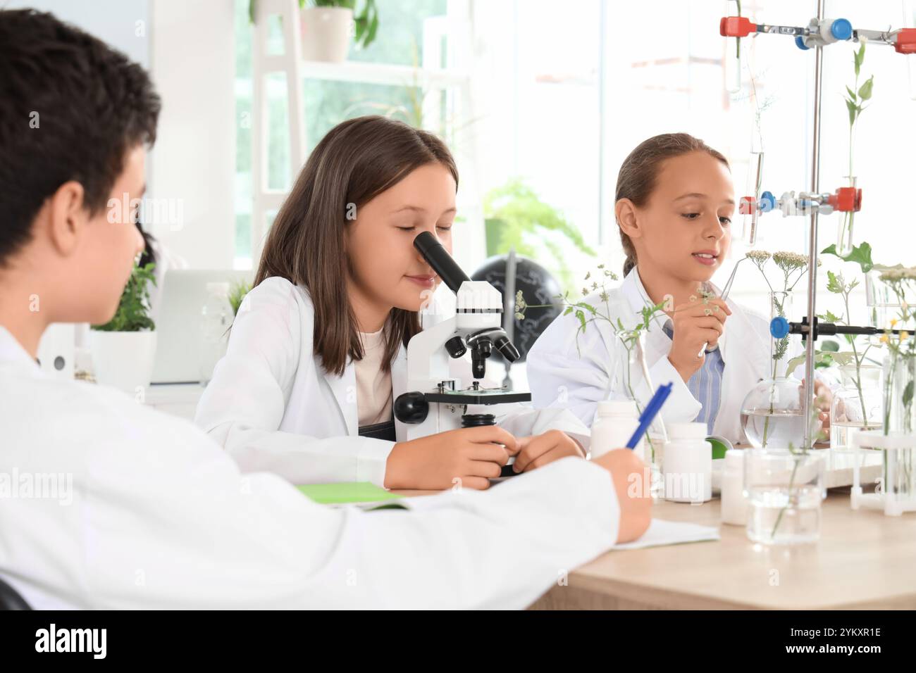 Teenage girl looking through microscope in Biology class Stock Photo ...