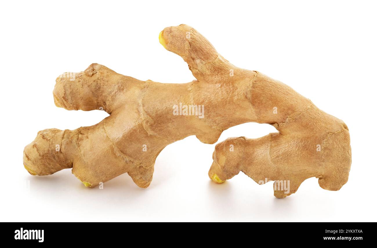 Fresh ginger root isolated on  white background Stock Photo