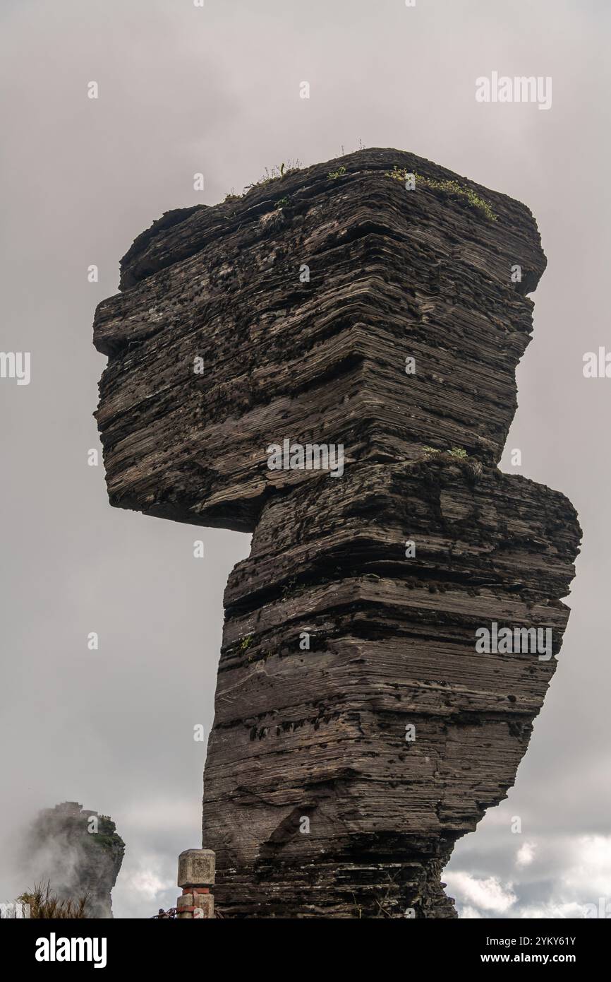 Xola dushdagi seks videoda jiyanini aygoqchilik qiladi