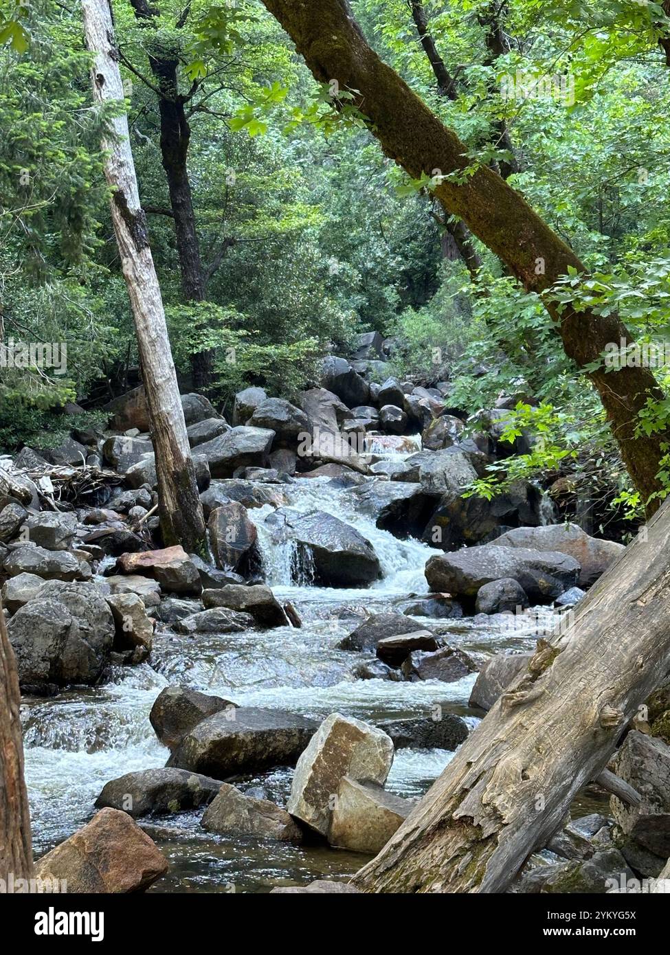 Falling Creek - Smartphone Captured Stock Image