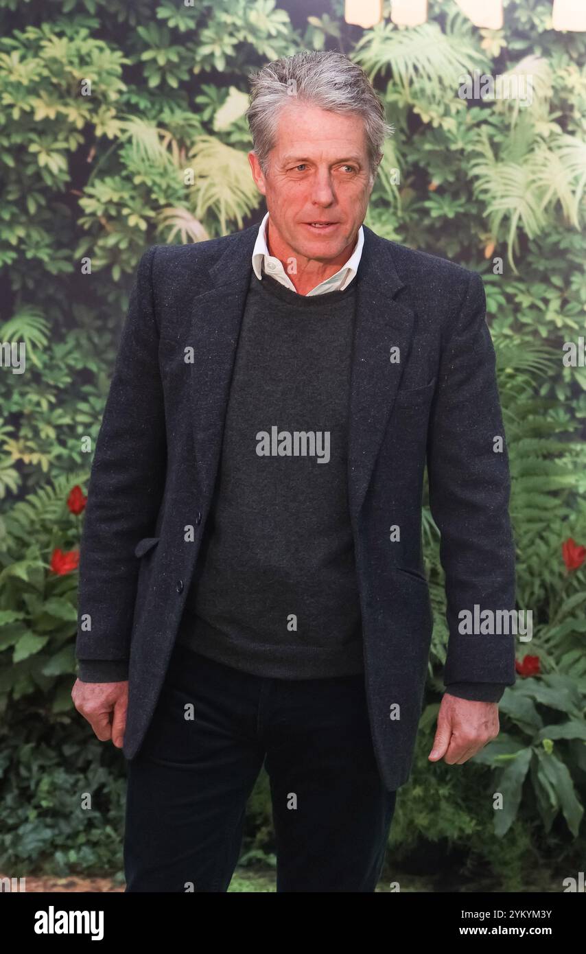 Hugh grant paddington hi-res stock photography and images - Alamy