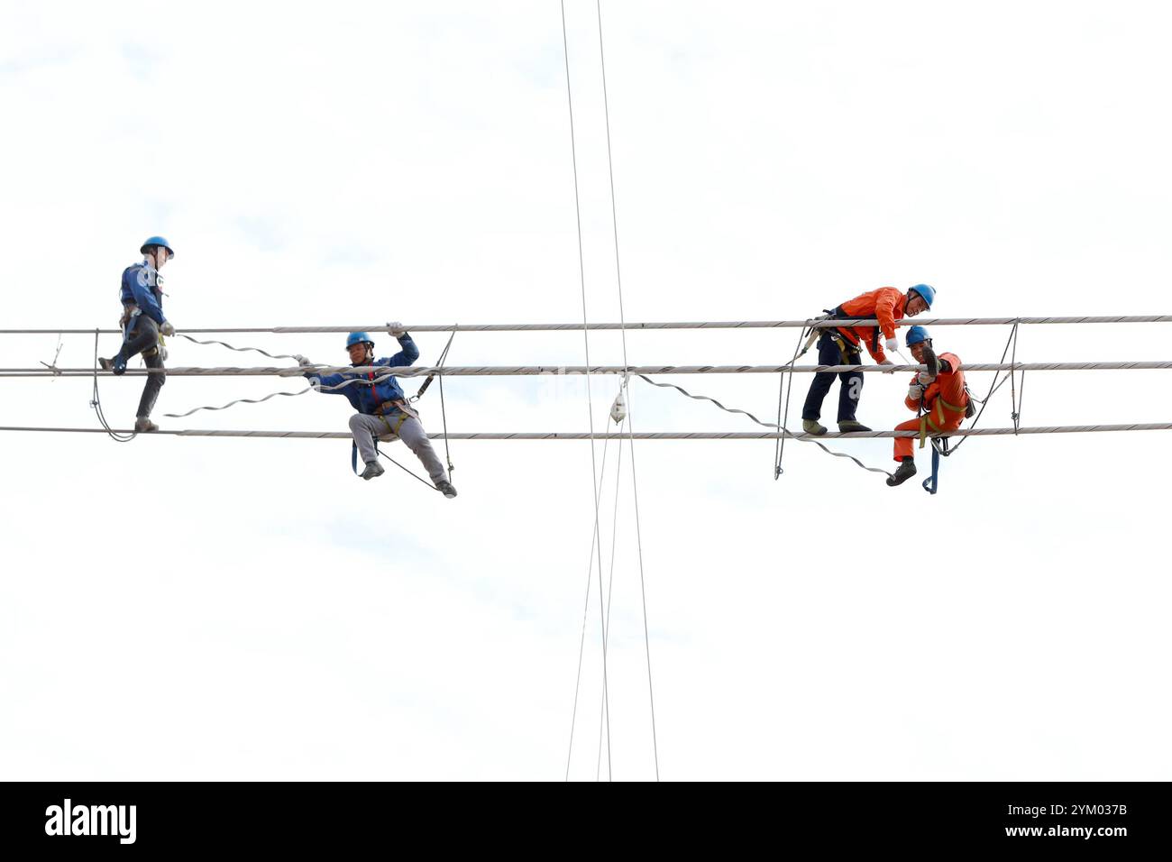 Line Workers Riding Wire WEIHAI, CHINA - NOVEMBER 19, 2024 - Power inspection workers use ...