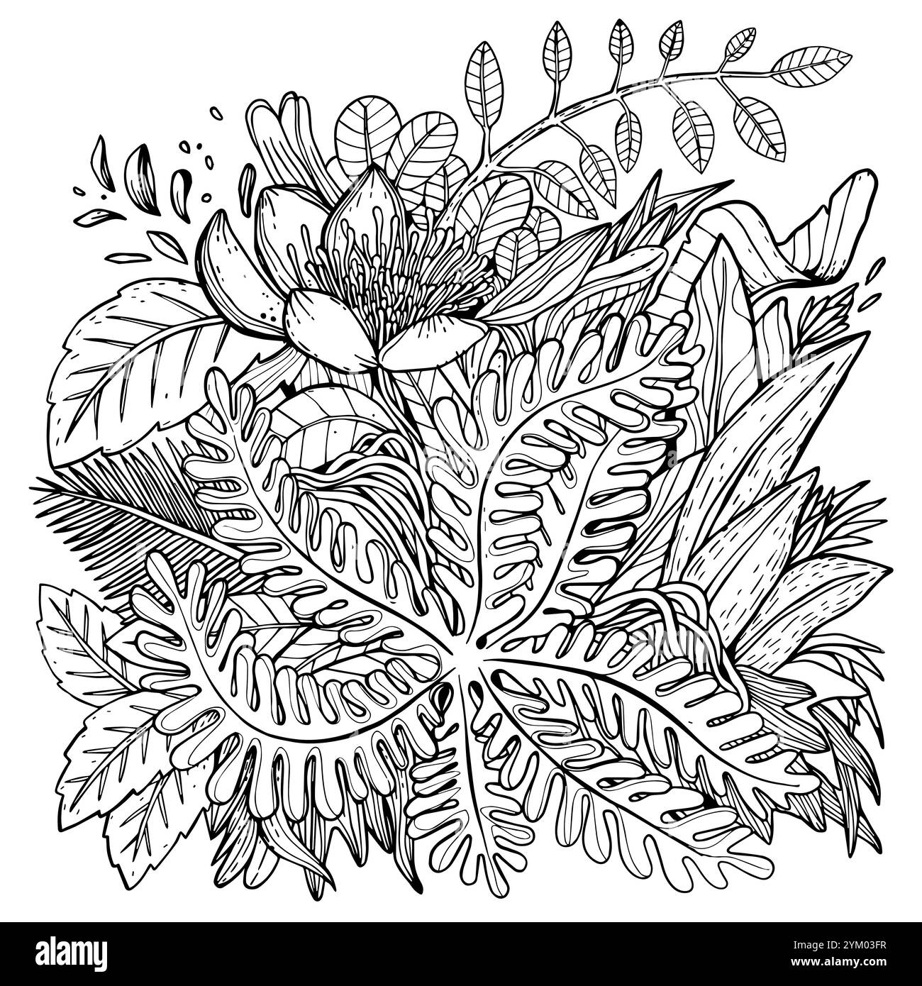 Hand drawn Leaves, Vector illustration in sketch doodle style Stock ...