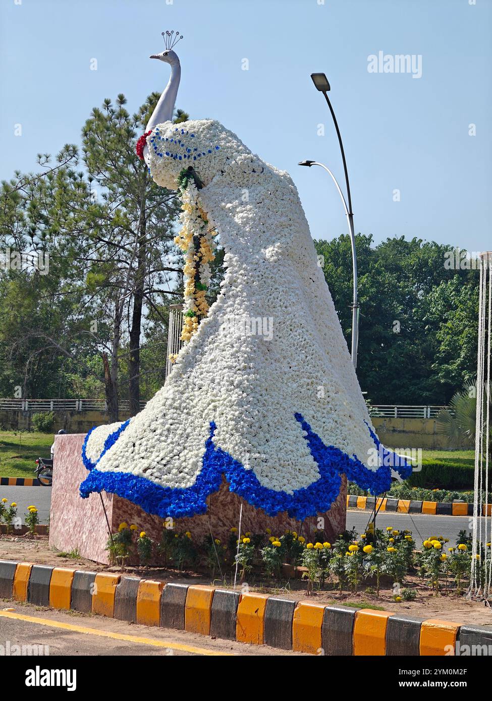 Art work of Peacock - Smartphone Captured Stock Image