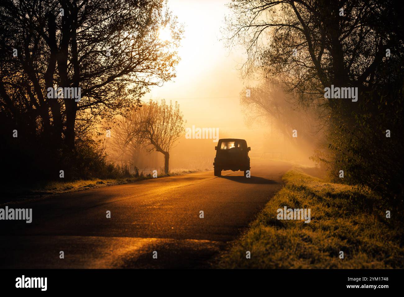 Car in orange autumn sunrise light. Stock Photo