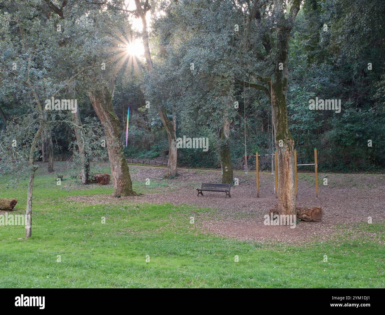 Villa Ada city park of Rome in the autumn, Italy Stock Photo