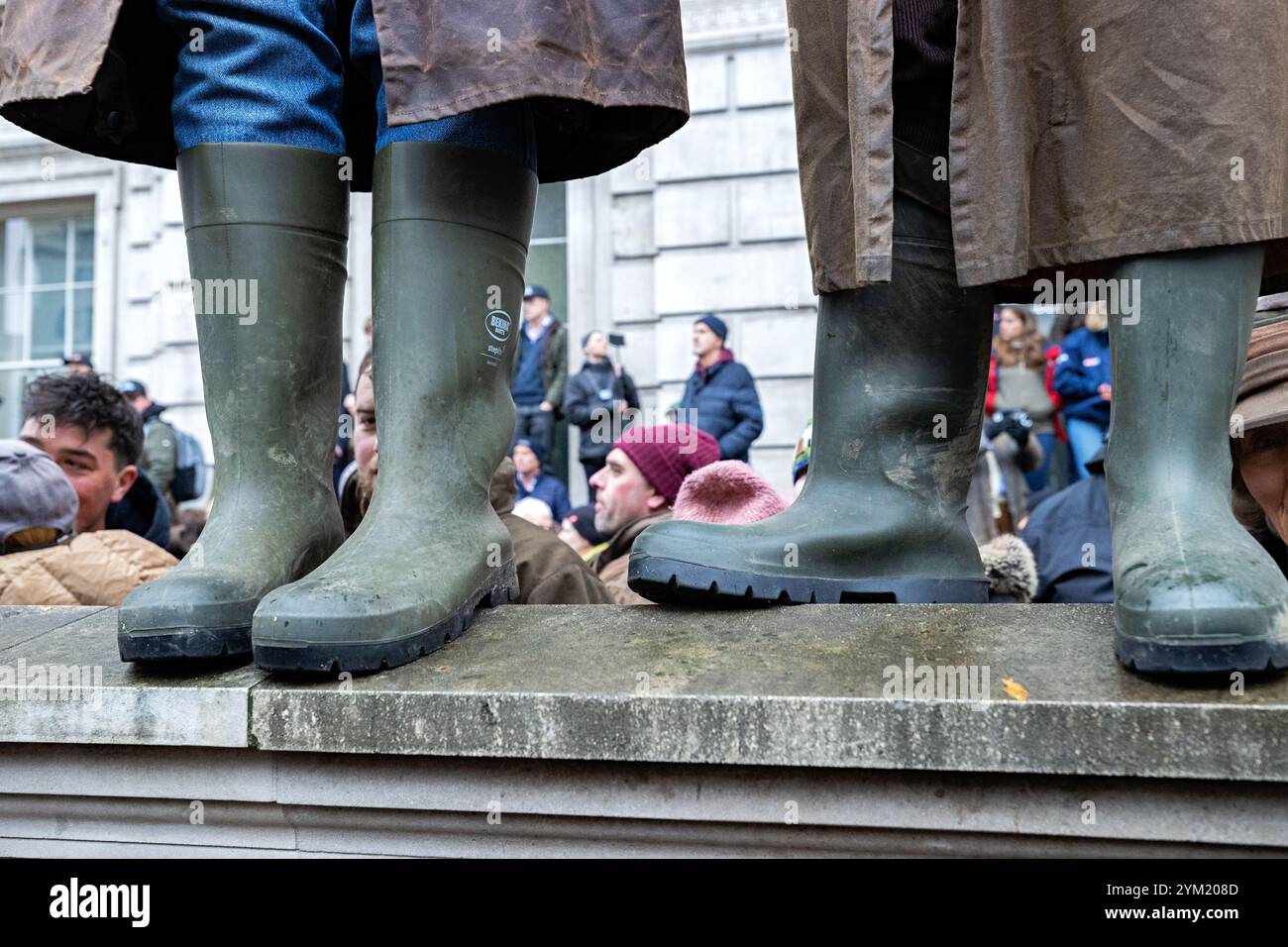 London, UK. November 19th 2024. Farmers march in London to protest ...
