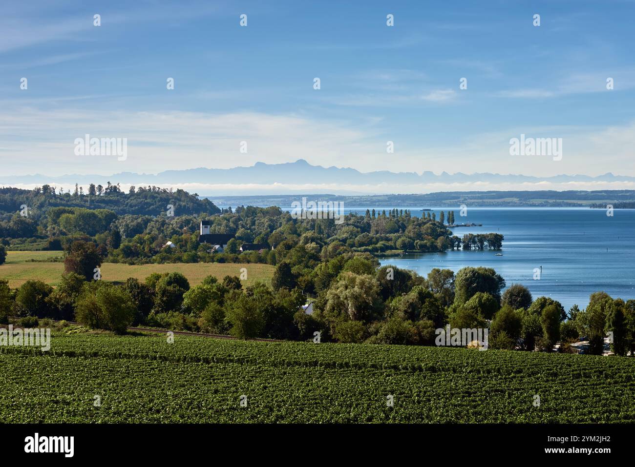 Breathtaking Bodensee Panorama Featuring Alpine Peaks, Vineyards, and ...
