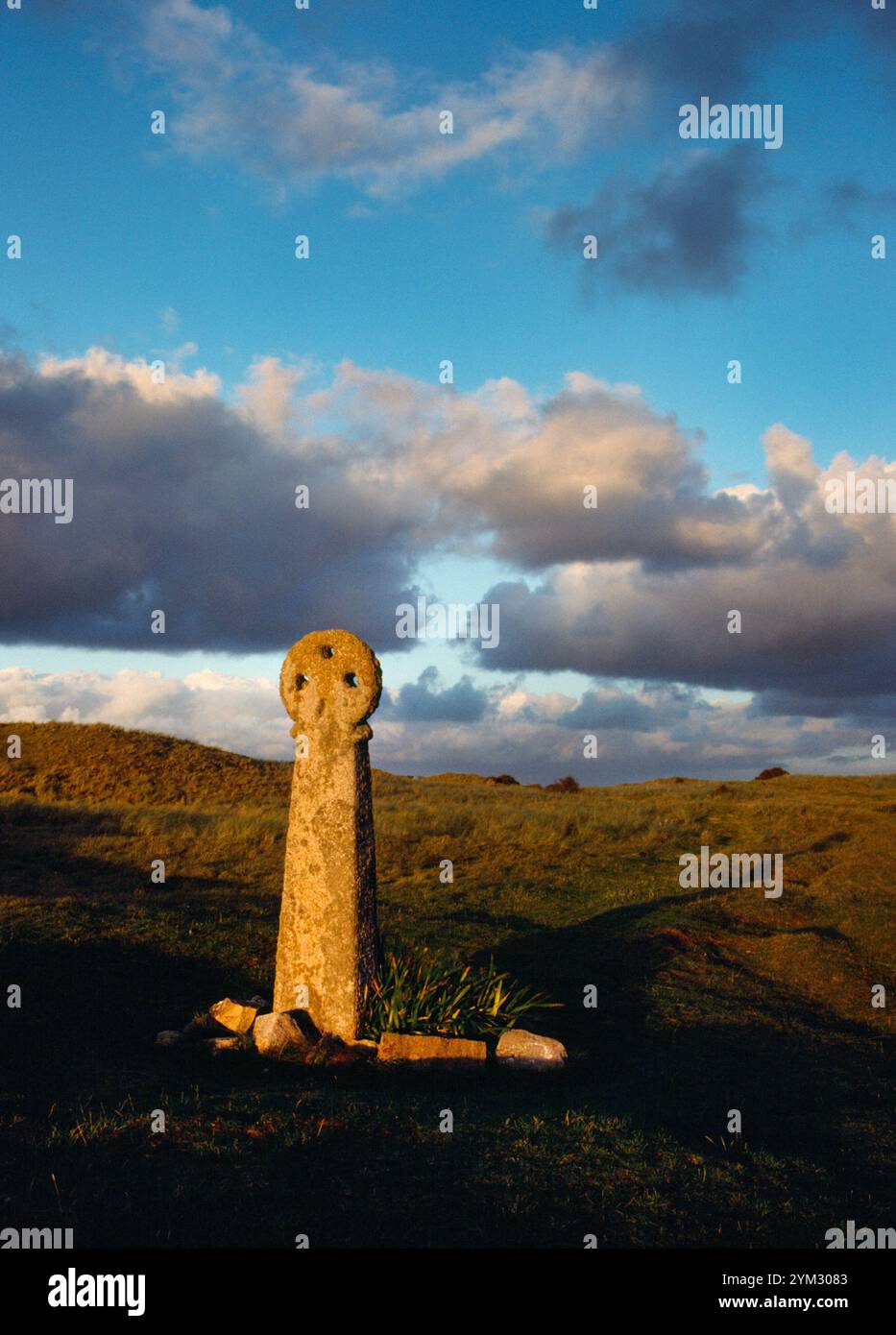 View W of St Piran's Cross in Penhale Dunes, Perranporth, Cornwall, England, UK: an Early Medieval wheel-headed granite pillar cross with three holes. Stock Photo