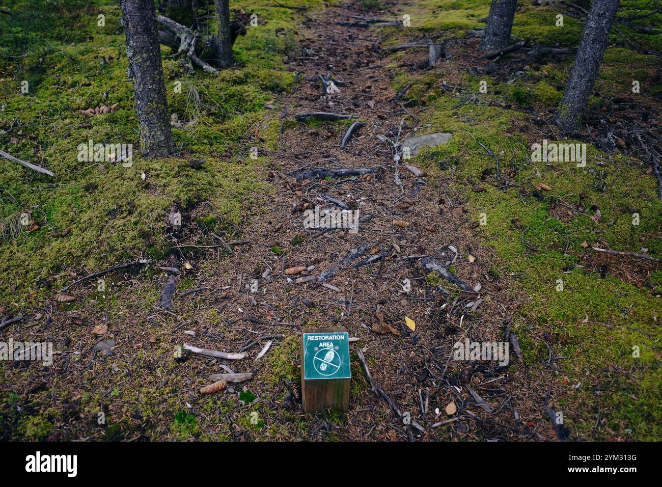 Shoe restriction sign hi-res stock photography and images - Alamy