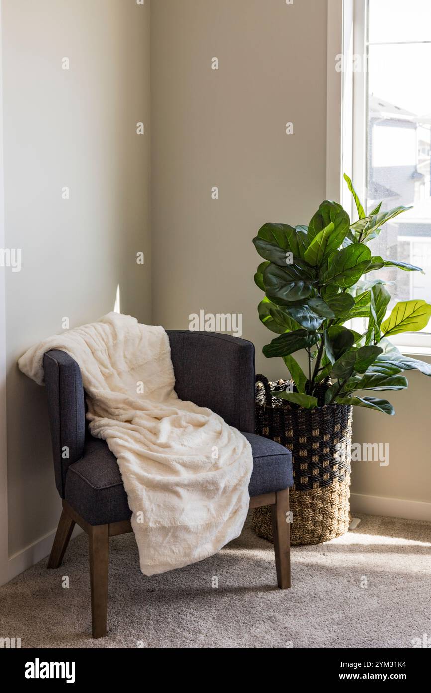 A chair with a white blanket draped over it and a potted plant in a basket next to it Stock Photo