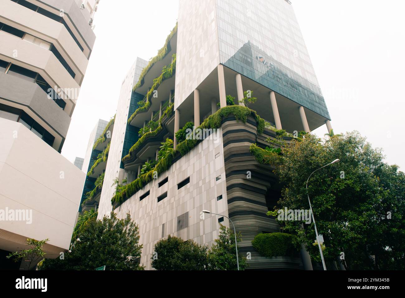 Modern urban skyline of tall sleek skyscrapers in Singapore. Glass ...
