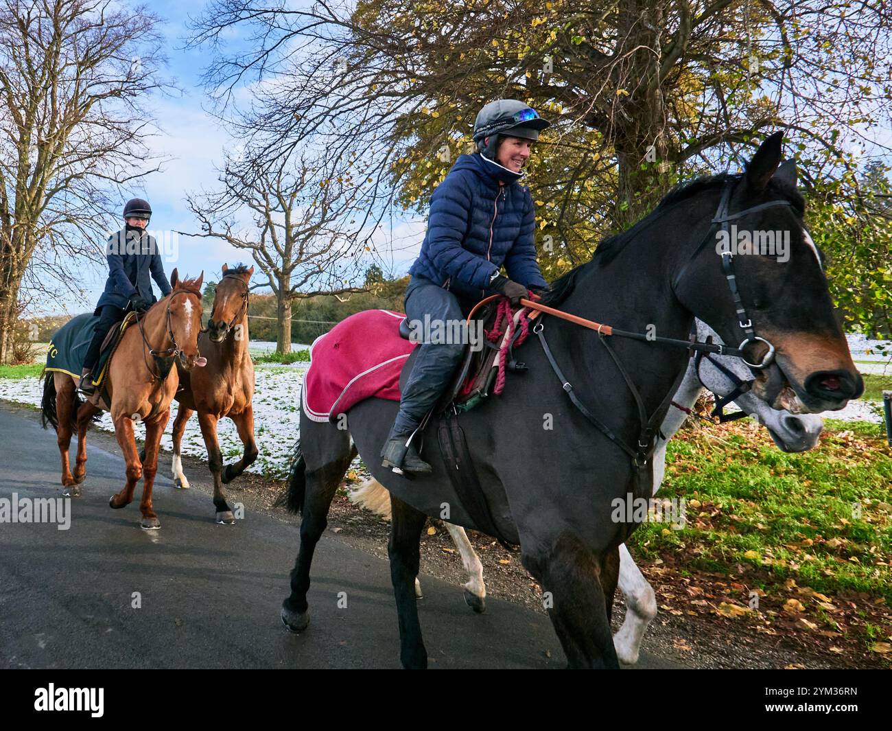 Equestrian riders hi-res stock photography and images - Alamy