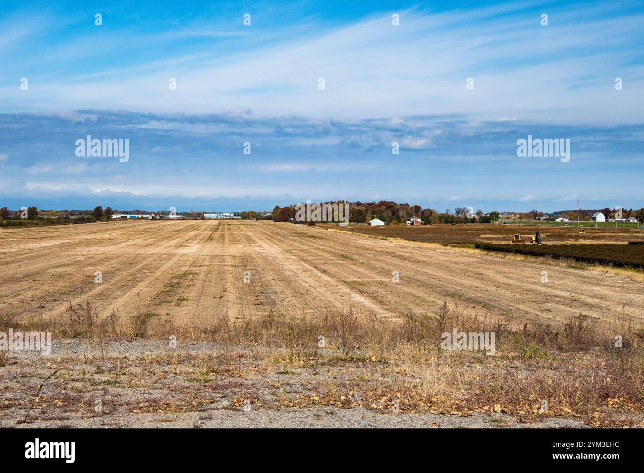 Farmland in St Catharines Ontario Canada Stock Photo Alamy