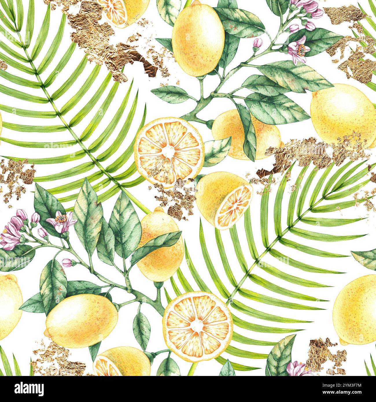 Floral collection hand drawn watercolor illustrations Stock Photo - Alamy