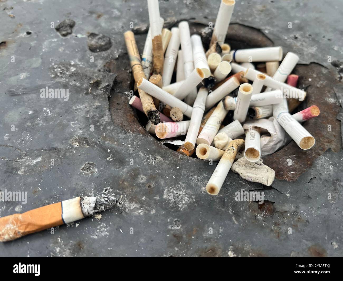 Littered cigarette butts on dirty street litter bin as non-biodegradable hazardous waste - Smartphone Captured Stock Image