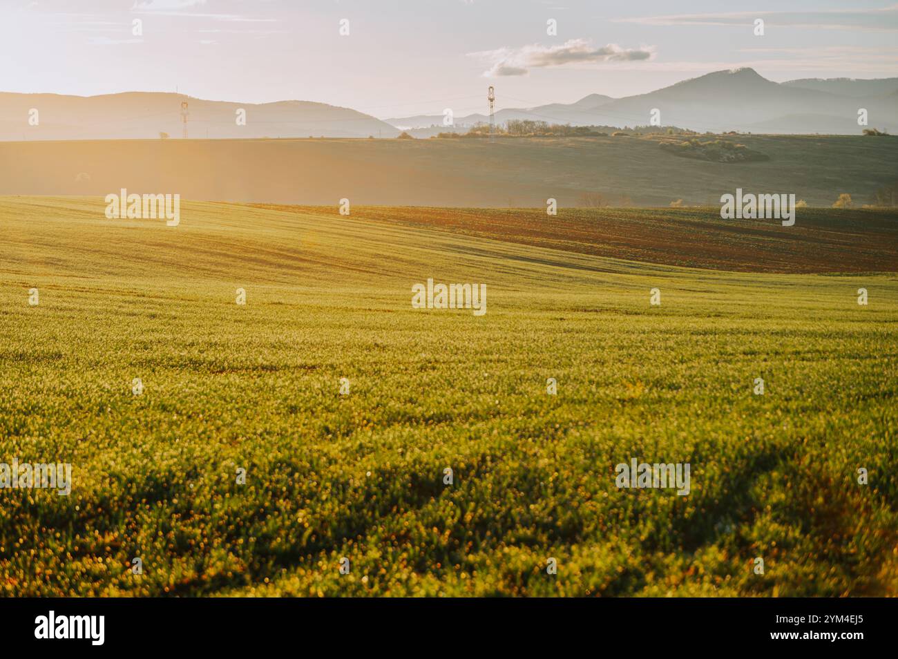 Vibrant countryside scene featuring hi-res stock photography and images ...