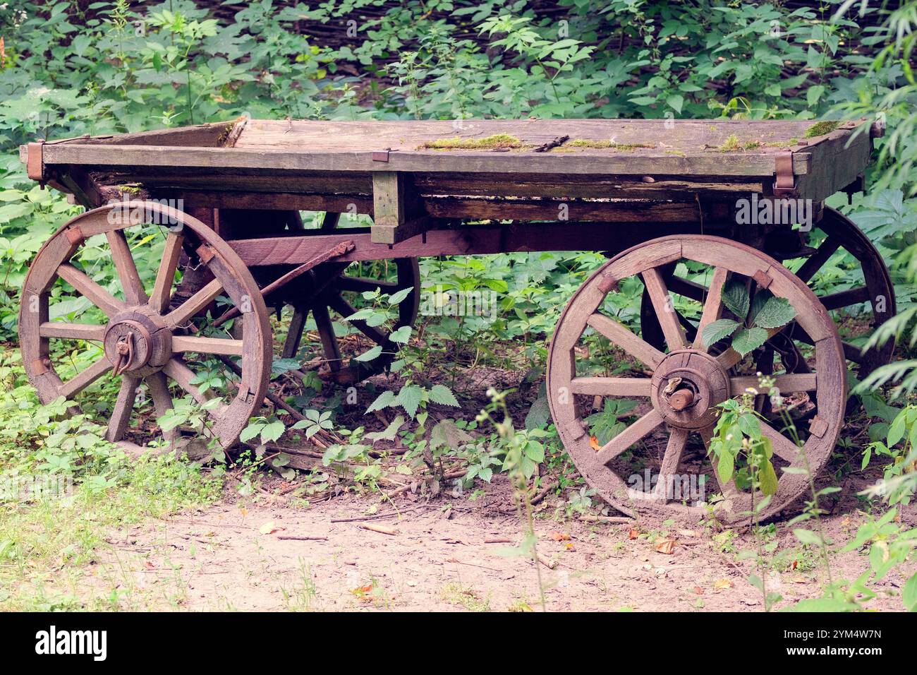 Rustic transport in nature landscape. Antique wooden cart. Wooden ...