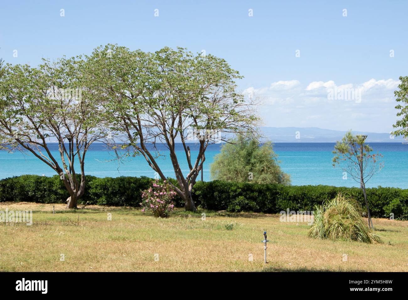 Mediterranean garden in Hanioti, Greece Stock Photo