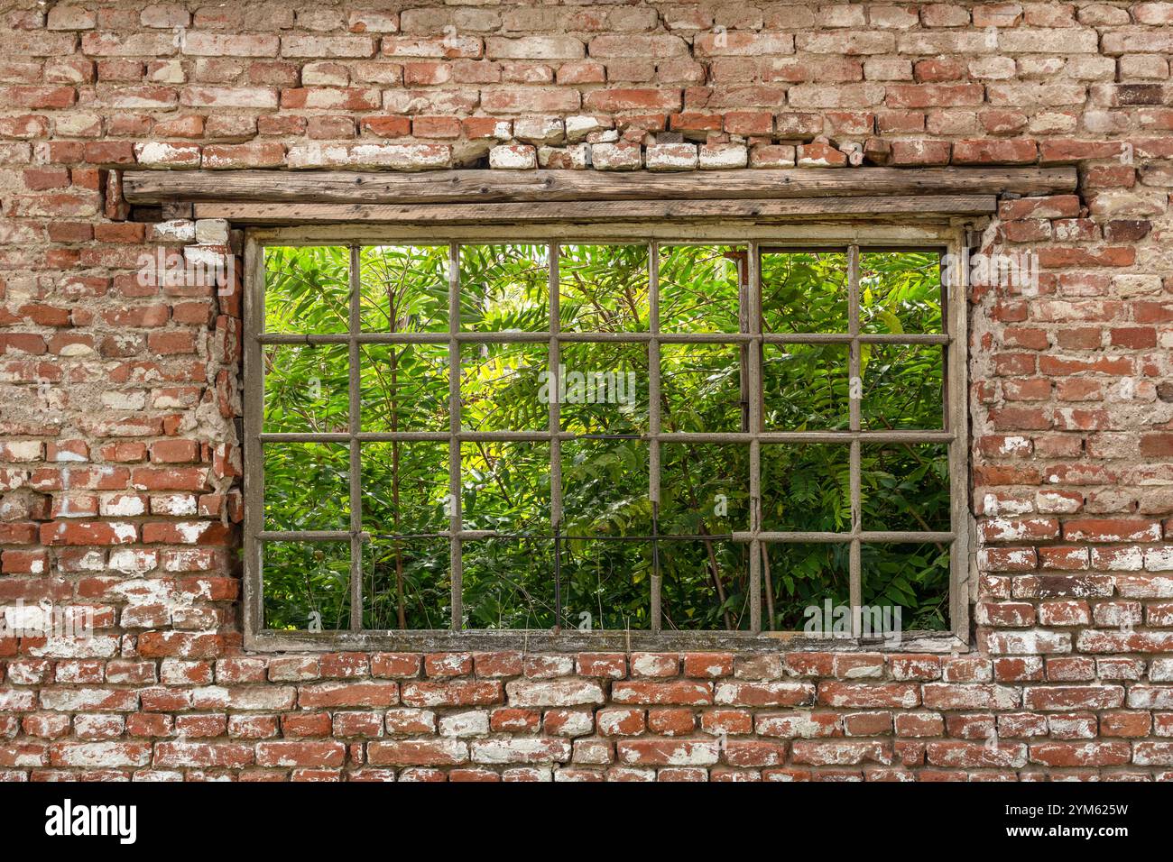 Old windows with bars on a red brick wall of a ruined house. Exterior ...